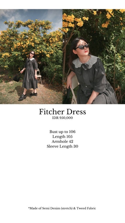 Fitcher Dress