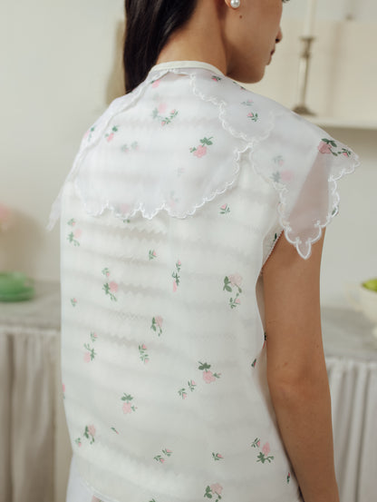 KAZIA COLLAR (ARRAY RIGHT ON SPRING)